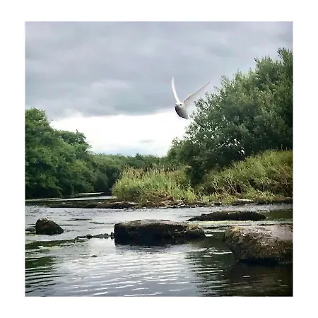 Dromdiah * Killeagh
